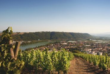 L’héritage en bouteille de Loïc Jamet