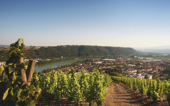 L’héritage en bouteille de Loïc Jamet
