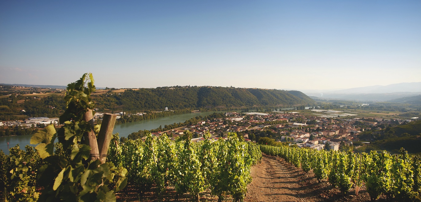 L’héritage en bouteille de Loïc Jamet