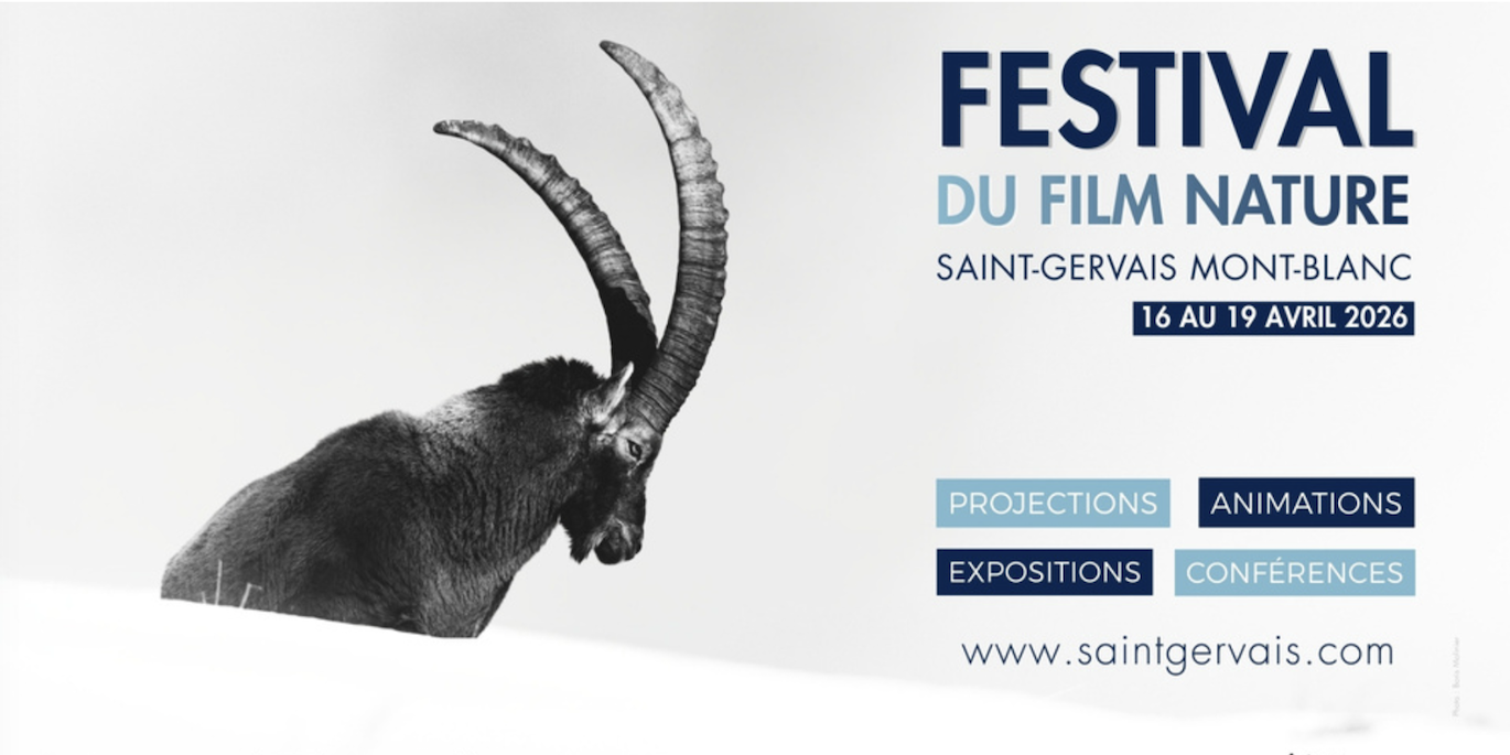 Festival du film nature de Saint-Gervais Mont-Blanc : un nouveau rdv culturel dédié au vivant.